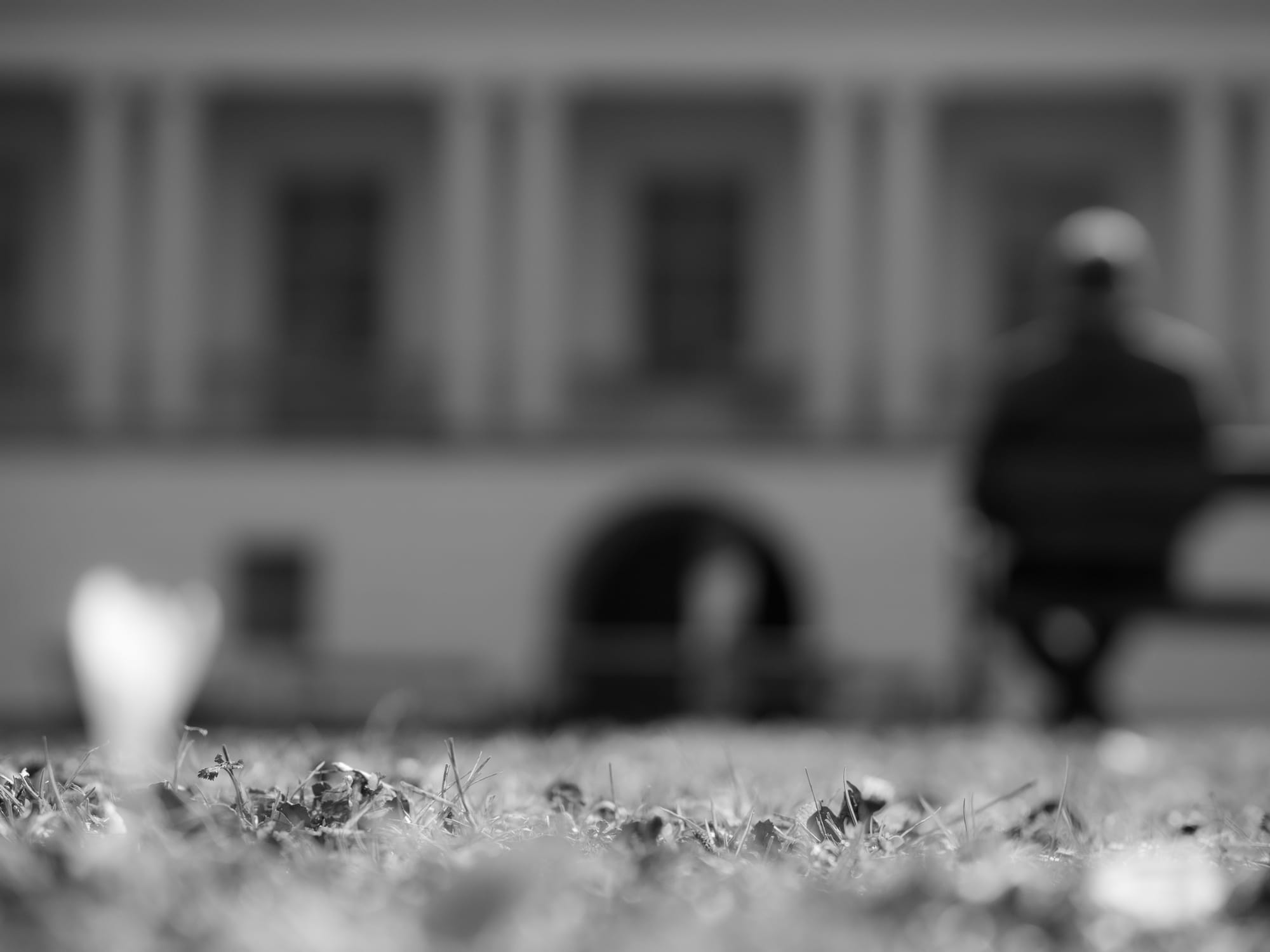 Image gallery image