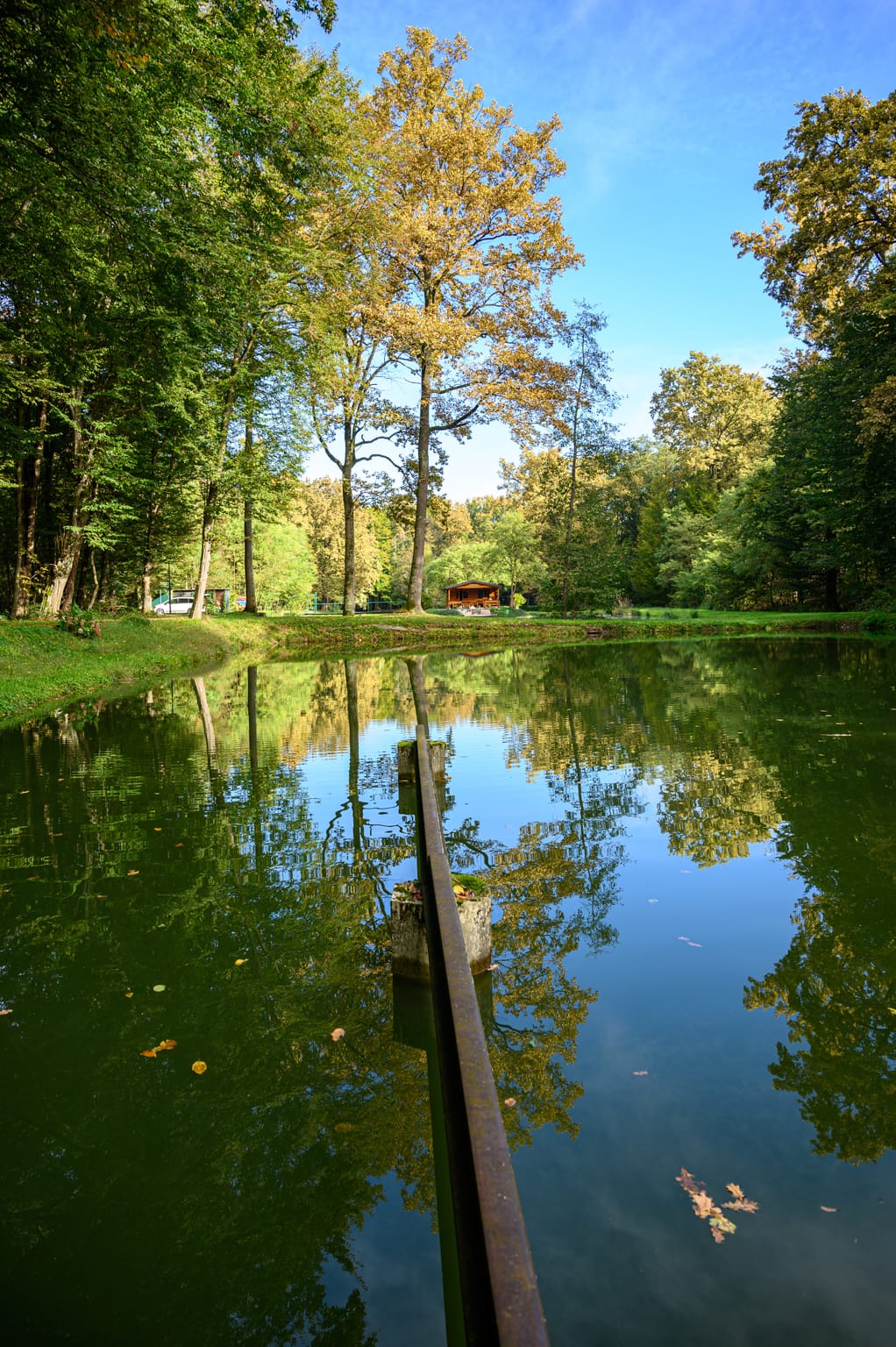 Image gallery image